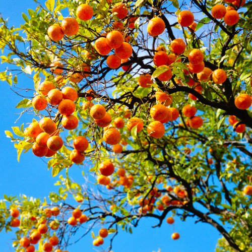 Centre de thérapies, gestion de la douleur à Toulon